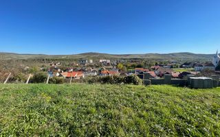 Teren intravilan 2700 mp/ Viisoara - Poză 3