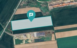 Teren intravilan 35.000 mp – Șag - Poză 1