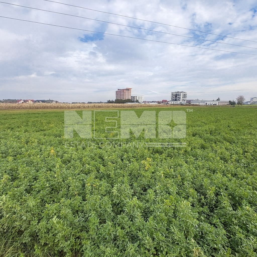 Teren de vânzare | 67 ari | Intravilan | Rădăuți - Poză 10