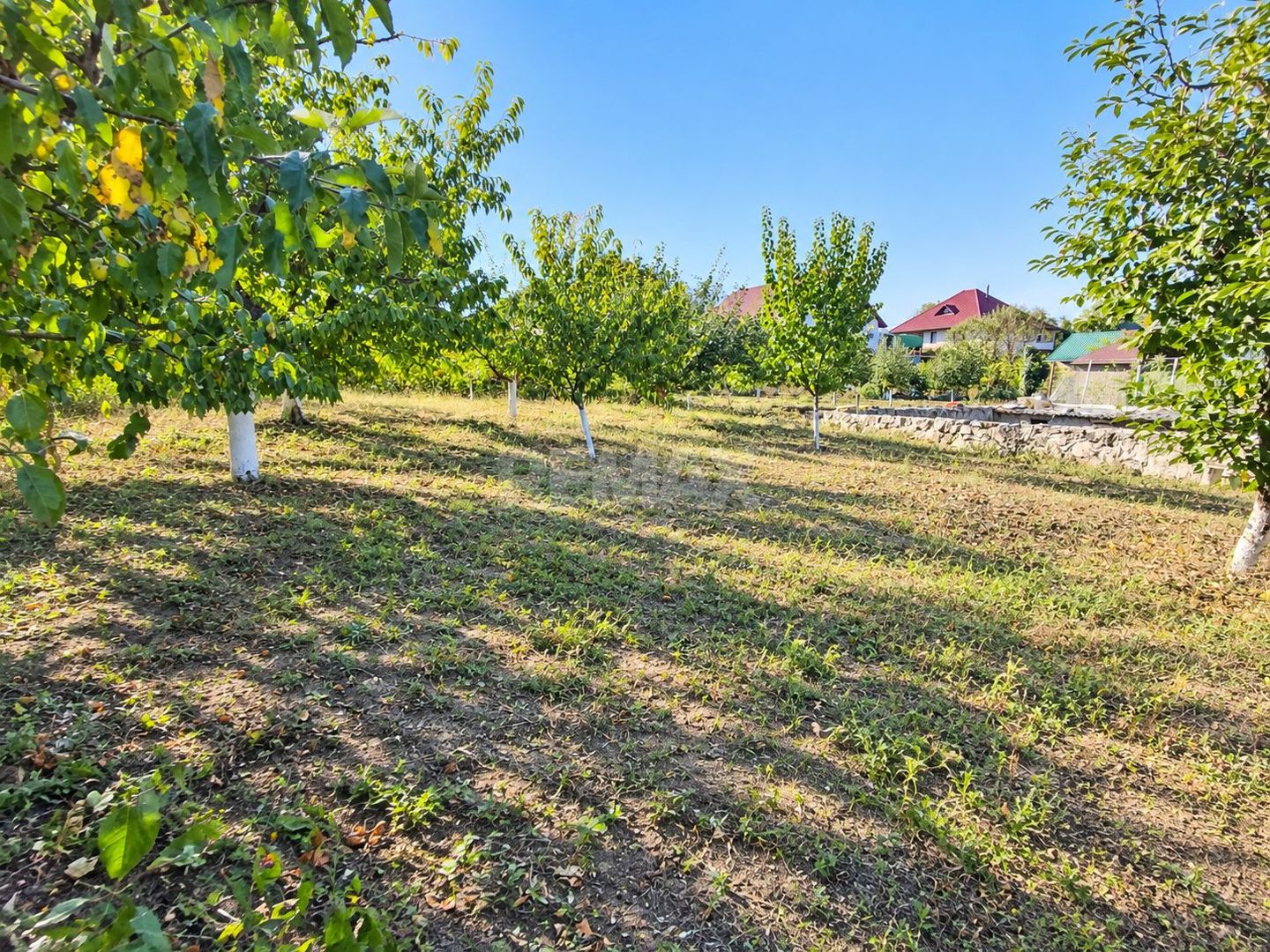 TEREN PENTRU CONSTRUCȚIE – 8,2 ARI | CHETROSU, ANENII NOI - Poză 9