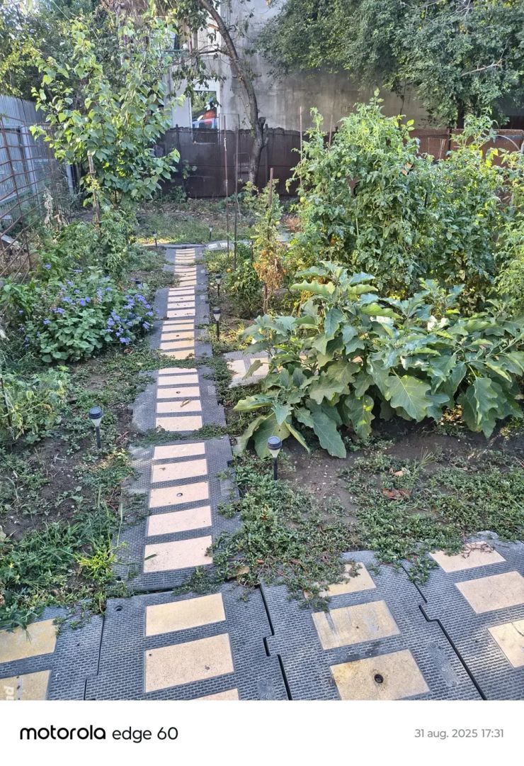 CASA IN POPESTI LEORDENI, RENOVATA, CURTE, MOBILAT-UTILATA - Poză 8