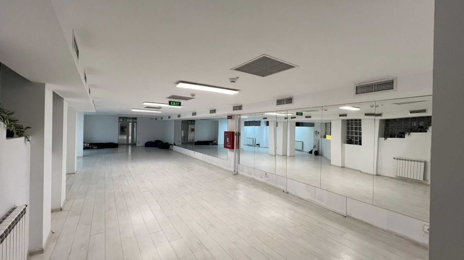 220 m2- studio dans de închiriat Sector 4, București - Poză 4