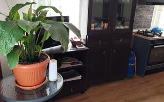 Casa cocheta la 30 minute de Craiova- Cornița Dolj - Poză 8