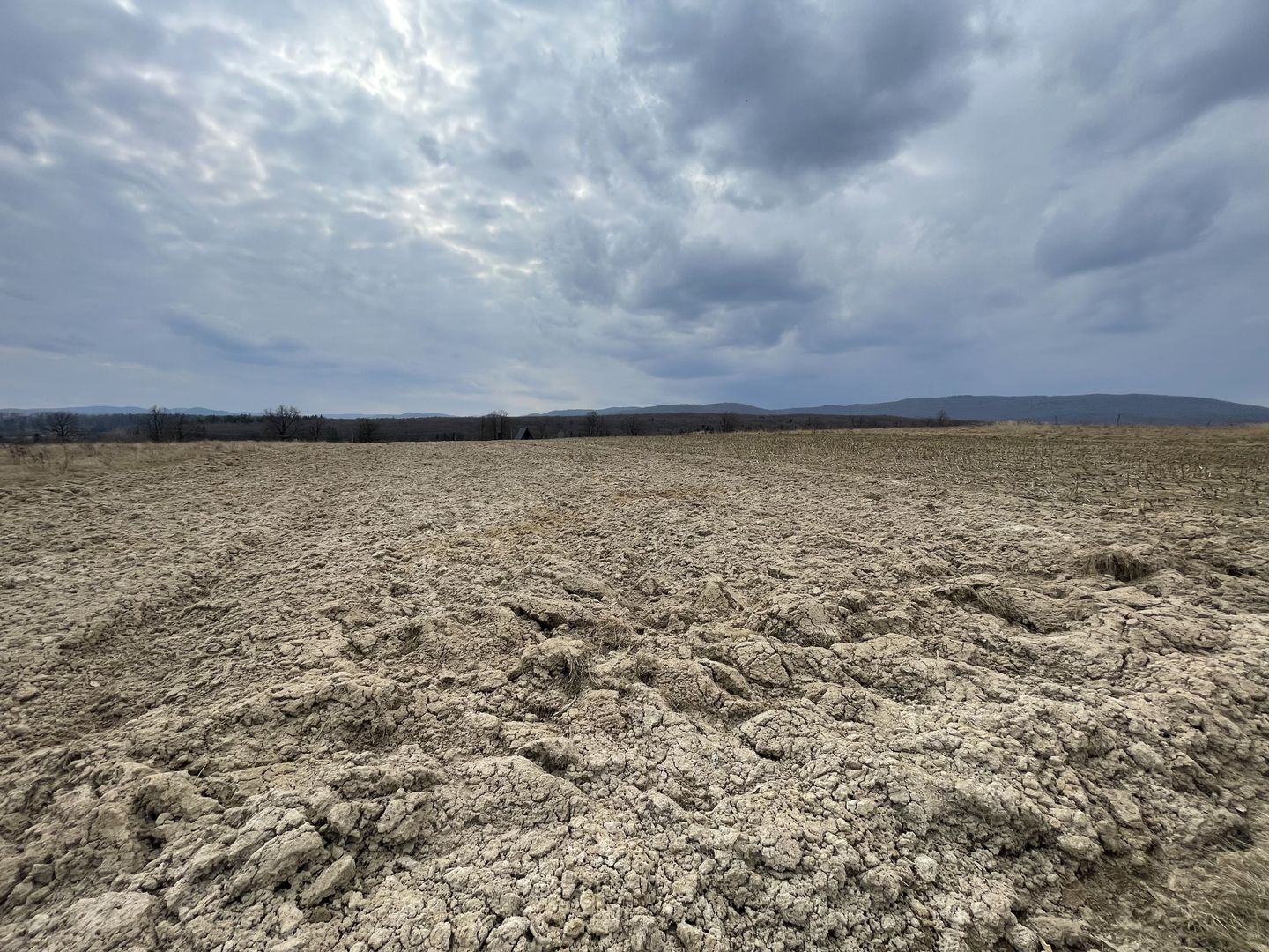 TEREN EXTRAVILAN | 23 ARI | HORODNIC DE SUS - Poză 3