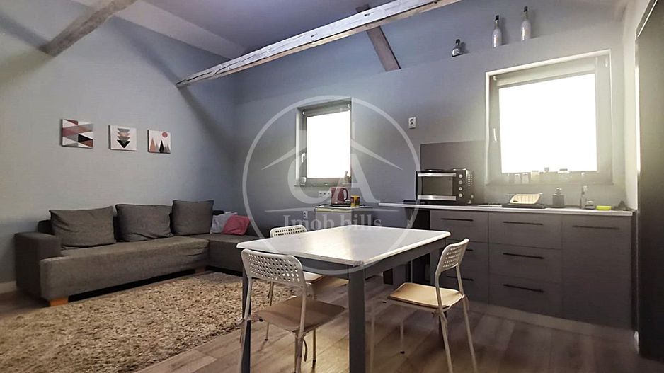 Apartament la casa, de inchiriat cu 2 camere in zona Centrala, Oradea - Poză 3