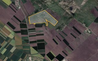 Teren 42 ha pentru parc fotovoltaic – Macea, Arad - Poză 1