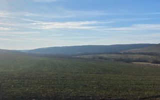 Teren extravilan de vanzare 3.900mp | Mierlau | Bihor - Poză 2