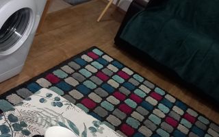 Apartament cu 2 camere de inchiriat/ Bulevardul Primaverii - Poză 3