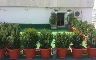 Penthouse, 6 cam, terasă, 160mp utili Piata Alba Iulia. - Poză 12