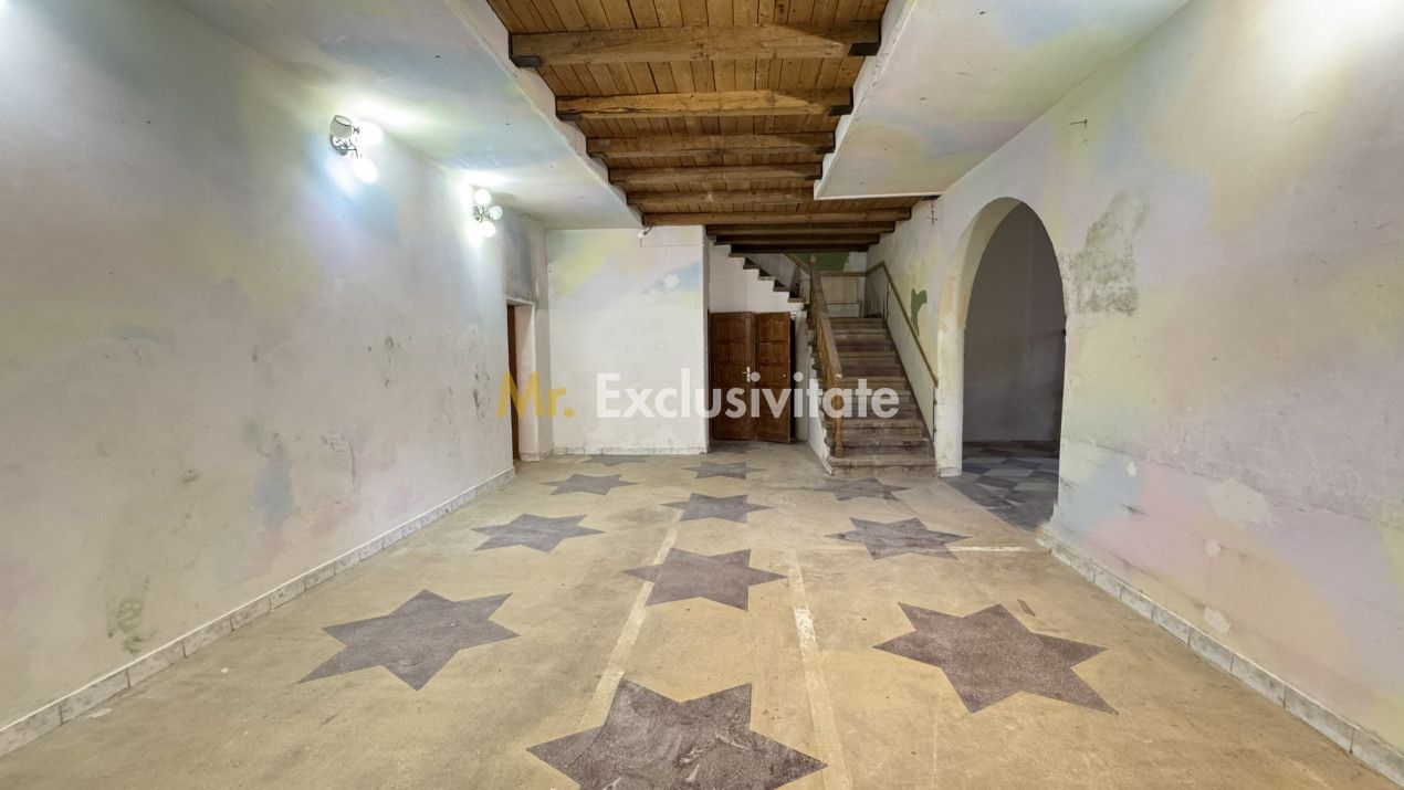 Spații de Inchiriat - Proprietate cu funcțiuni mixte – Str. Căplenilor Carei - Poză 26