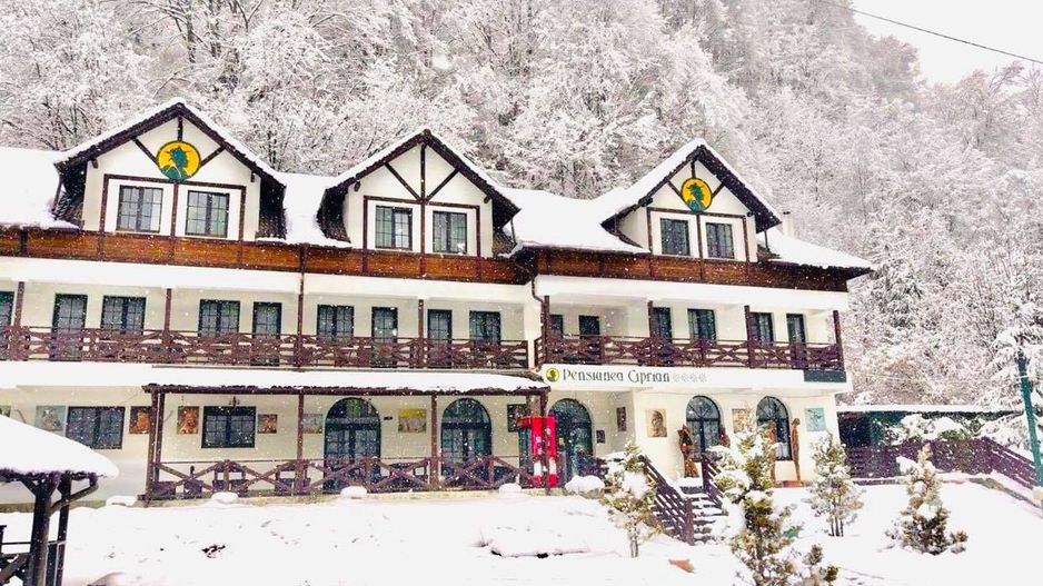 Pensiune de Vânzare în Brădetu – Acces la Apă Sulfuroasă, Vedere rau si munte - Poză 4