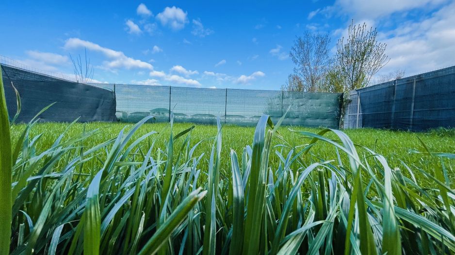 Casa din Dumbravita, 4 camere, 110 mp - Confort si liniste - Poză 7