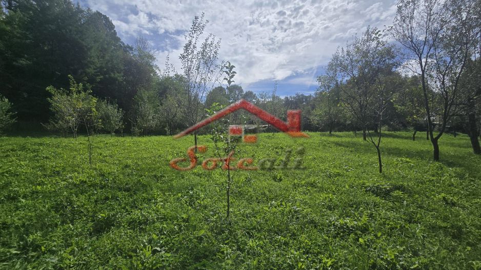 Oportunitate de investiție în Breaza – teren intravilan de 3.591 mp - Poză 11