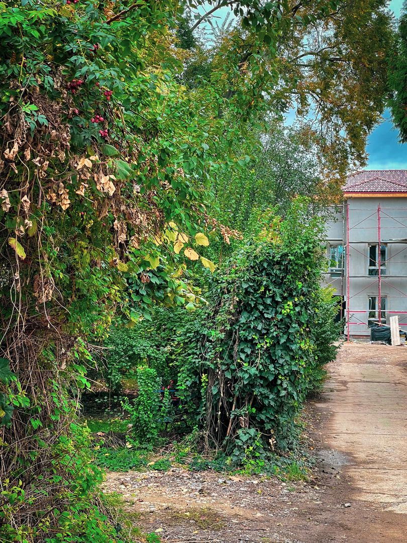 Casa noua in zona centrala - intrare privata - TOWNHOUSE - Comision 0% - Poză 2