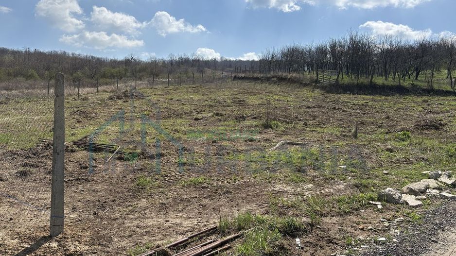 Terenuri intravilan în satul Vladiceni, comuna Tomești - Poză 4
