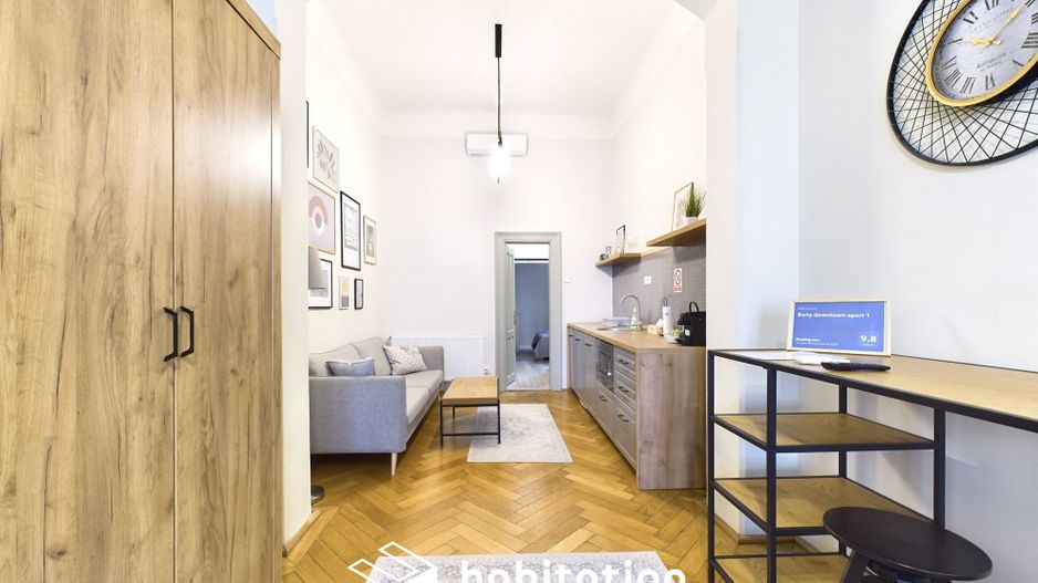 Apartament elegant și primitor,  în clădire restaurata, Piața Unirii - Poză 15