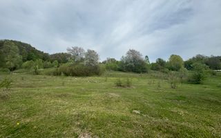 TEREN EXTRAVILAN 40000 MP, ALBESTI DE MUSCEL, CANDESTI - Poză 7