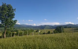 Teren intravilan 809 mp cu deschidere 14 m în Tropinii Noi - Poză 15