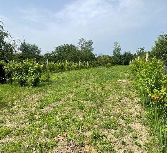 Vând teren intravilan, Str Dealului 64 - 936 mp,front stradal 13.4 m - Poză 1