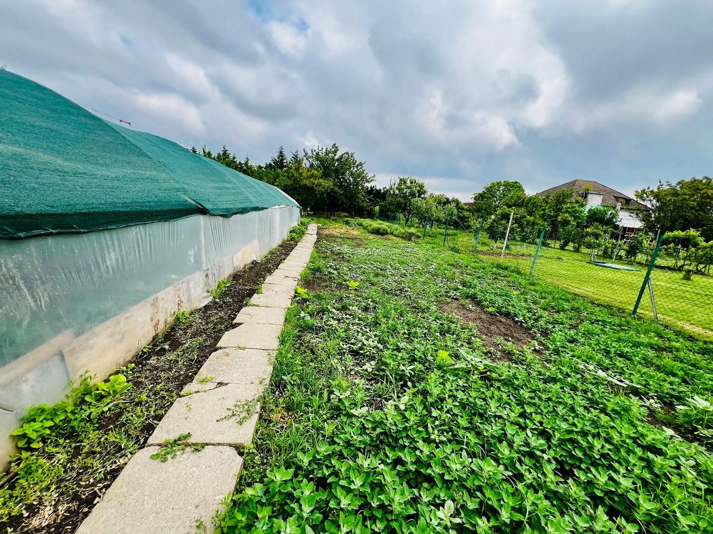 Casa Individuala 5 camere  -  Zona  Mehala - Poză 13