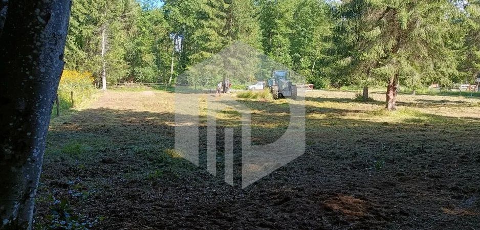 Teren Valea Avrigului- 900 mp- Intravilan+ Certificat de urbanism - Poză 4