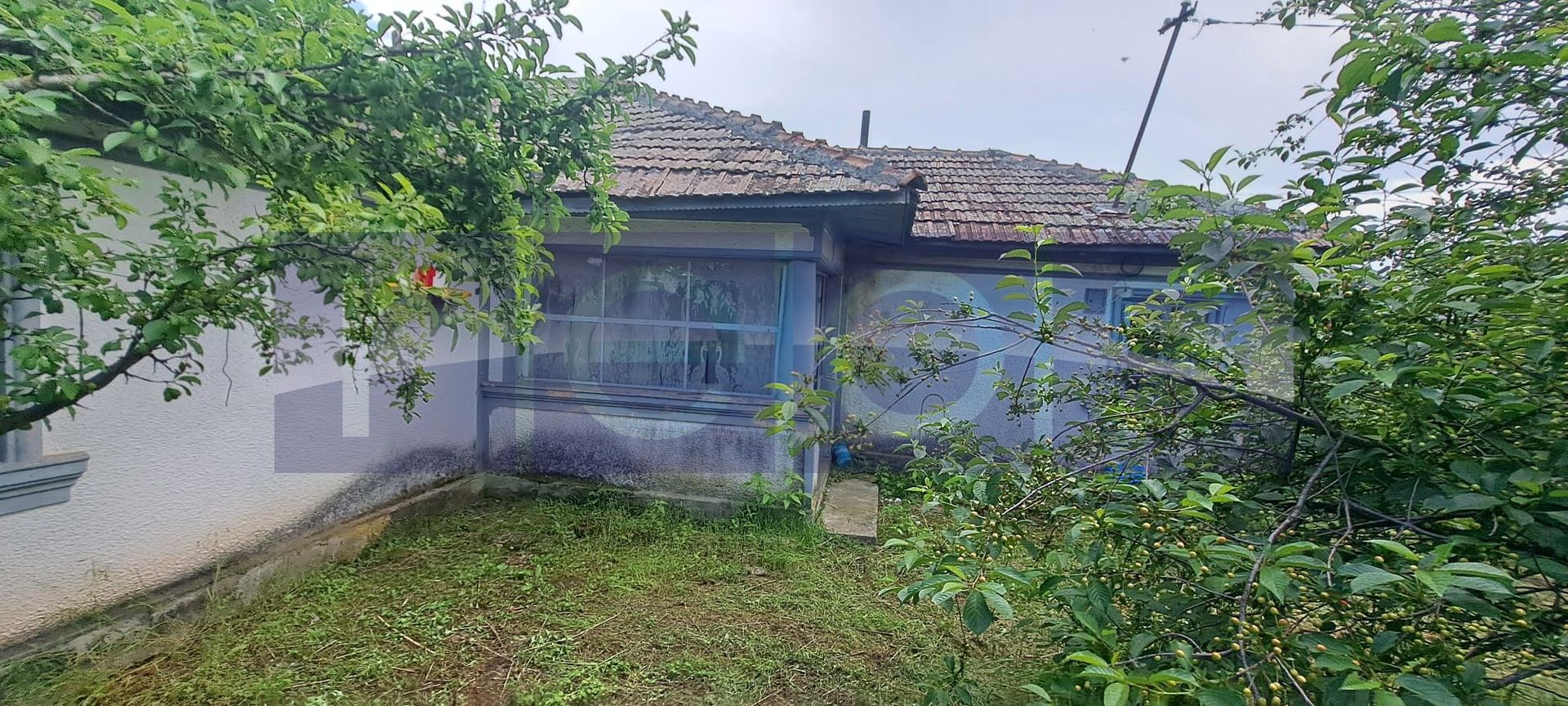 VANZARE CASA | TEREN 2500 MP | LIVADA SI VIE | SAT BREBINA – SCRIOASTEA - Poză 3