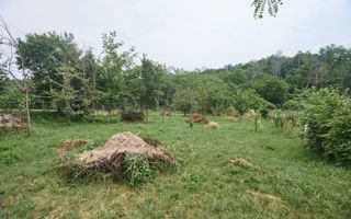 Teren 2240 mp intravilan + casa batraneasca Hintesti-Basangesti - Poză 7