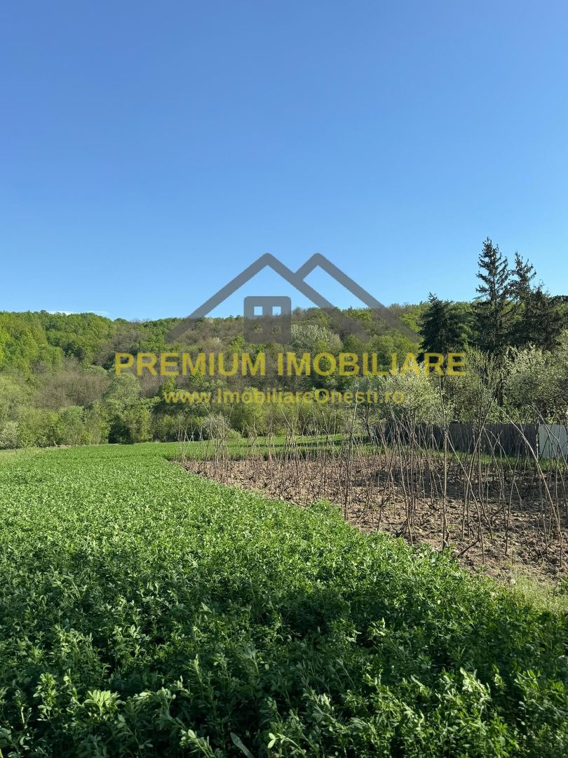 Casa Barsanesti - Poză 13