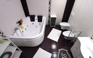 Sat Giroc, ideal pentru diverse afaceri sau pentru locuit. - Poză 22