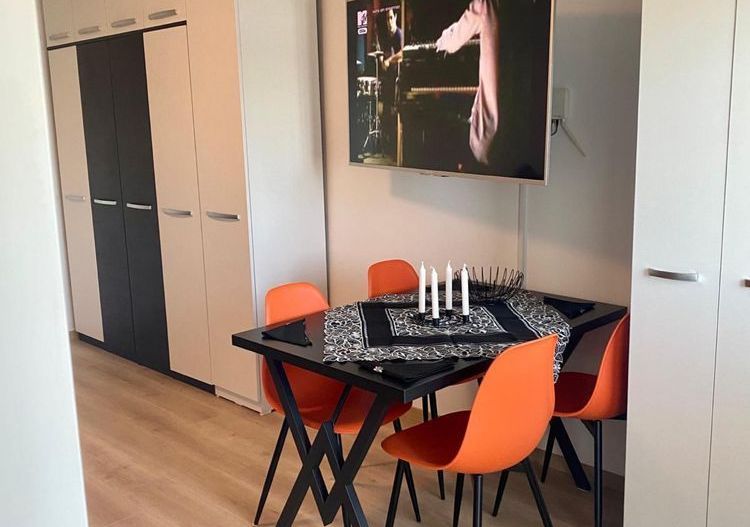 Închiriez garsonieră modernă, Piața Muncii, petfriendly - Poză 3