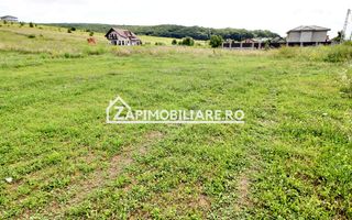 Teren 6.800mp teren cu deschidere de 100 m la drum asfaltat - Poză 1