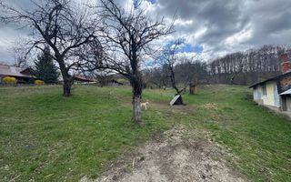 TEREN INTRAVILAN 4365 MP POENARII DE MUȘCEL  JUDEȚUL ARGES - Poză 10