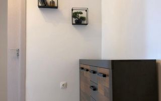 Apartament 2 camere de inchiriat Drumul Taberei - Poză 6