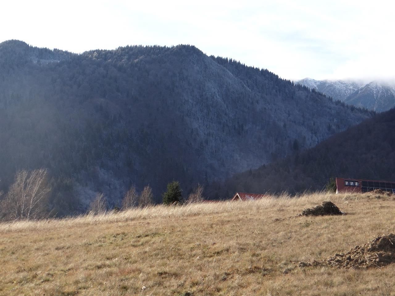 In locatia de basm: - Pestera, Moieciu, Brasov, utilitati, accesibilitate - Poză 23