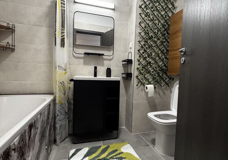 Studio Modern Panorama Lacul Morii - Poză 6