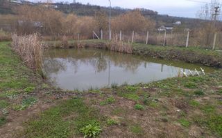 Casa de Lux 7 camere-270 mp-curte amenajata-teren 2312 mp-Salva - Poză 9