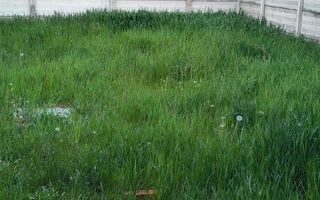 Casa in localitatea Nojorid - Poză 6