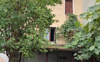 Casa 110 mp cu posibilitae de mansardare si curte cu potential - 7 strazi Gruia - Poză 11