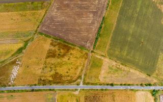 Teren de 19798mp în Zimandu Nou - Poză 5