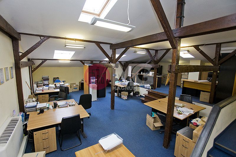 Vila exclusivista de inchiriat- pretabila Ambasada sau sediu de firma  - Poză 21