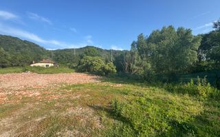 TEREN INTRAVILAN 3296 MP CAMPULUNG ARGEȘ - Poză 12