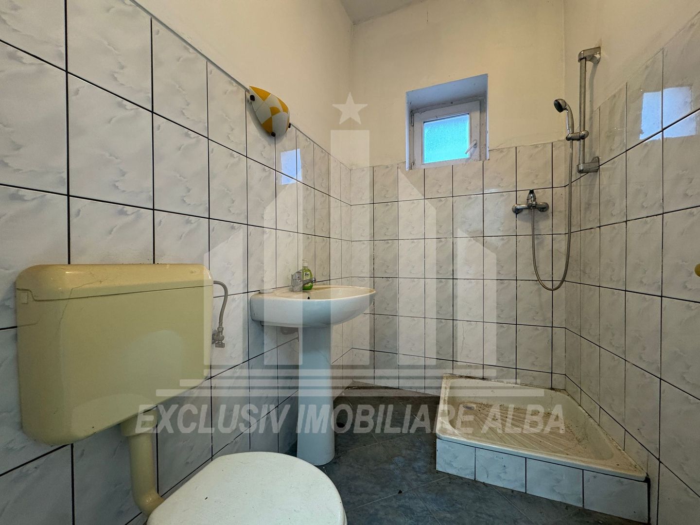 Casa individuala | Spatiu comercial | 306 mp | 415 mp teren | Maieri - Poză 13