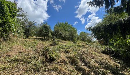 Casa cu 3 camere, 2300mp teren, zona SubPadure