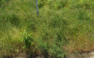 Holboca Iași 1100m.p. intravilan - Poză 4