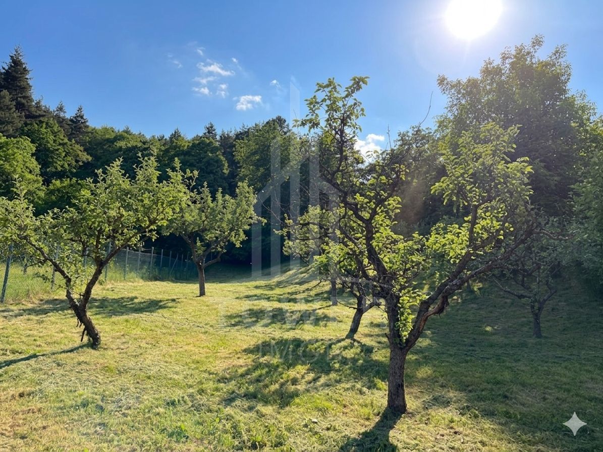 Casă rustică de vânzare în Tilișca, (Marginimea Sibiului) - Poză 22