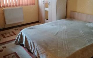 Apartament 1 camera Sagului cu centrala - Poză 3
