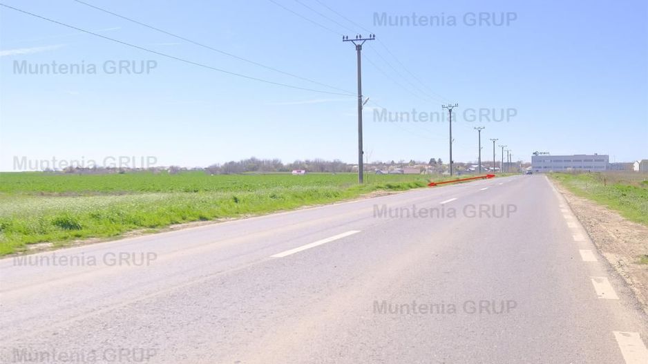 Unicat ! Dascalu, 65.000 mp. teren cu deschidere de 102 ml. la DJ 200 - Poză 3