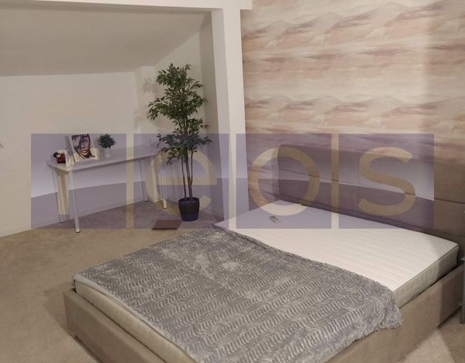 Inchiriere Vila 380 mp D+P+2E | Parcul Circului - Poză 10