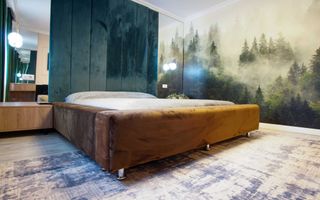 Casa de familie 271mp, teren 750mp, mobilata si utilata, Visan - Poză 4