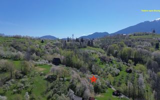 Teren 2500 mp Sohodol - Poză 6